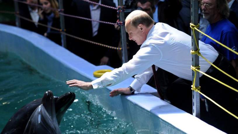 سربازان روس دلفین‌ها را با تله‌پاتی کنترل می‌کنند
