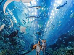 چطور گشت های شهری دبی را قبل از سفر رزرو کنیم؟ چطور گشت های شهری دبی را قبل از سفر رزرو کنیم؟